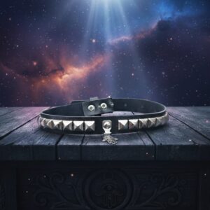 CHOKER SPIKE